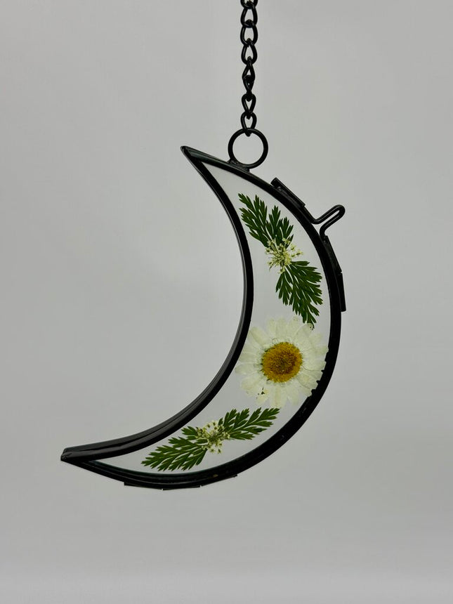 4" Moon Frame w/ Pressed Florals