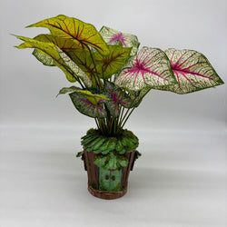 Potted Plant House - view 1