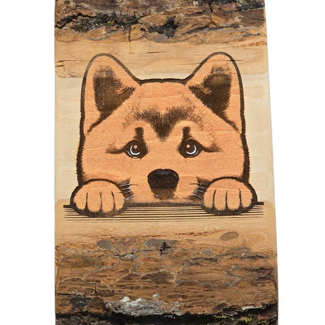 Peeking Shib