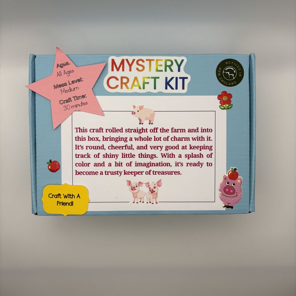Blind Date With A Myster Craft Kit 38 Pigs Friend