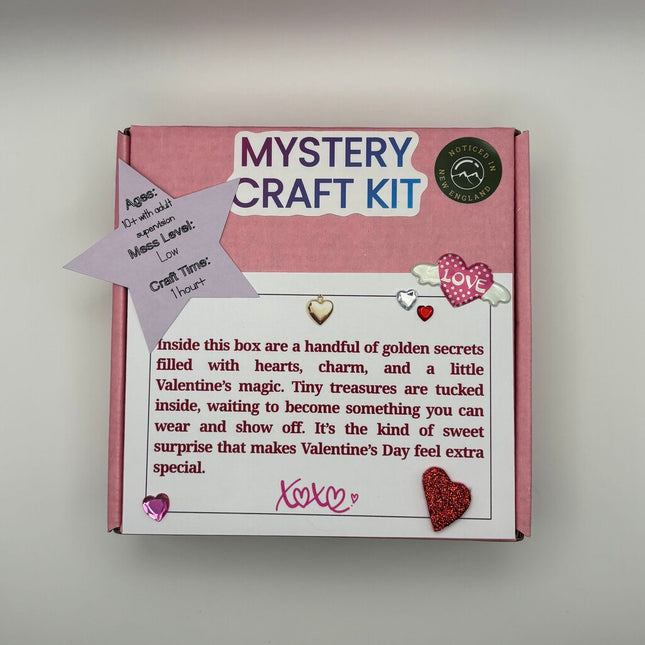 Blind Date With A Myster Craft Kit 41 Valentine's Day Charm