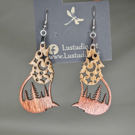 Earrings -