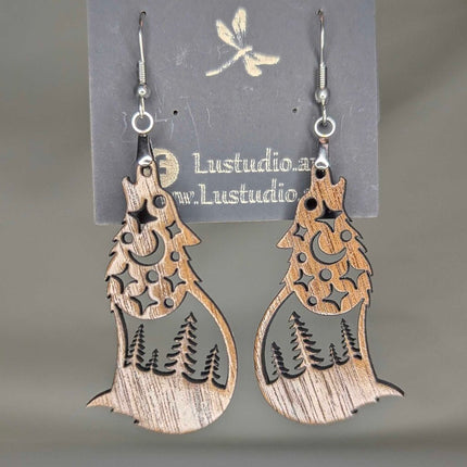 Earrings -