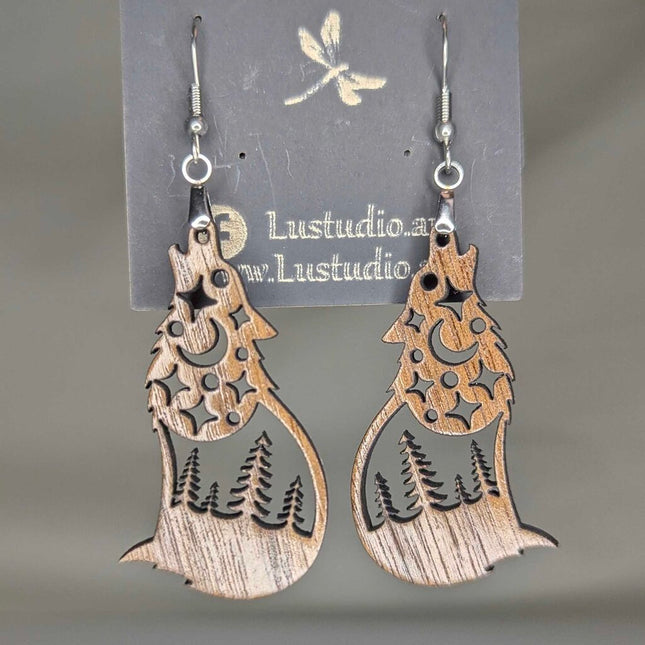 Earrings -