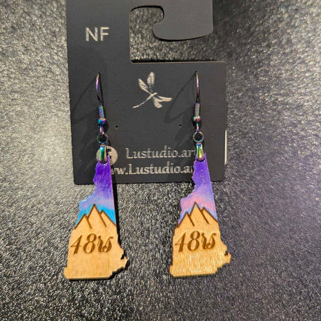 Earrings - NH 48rs