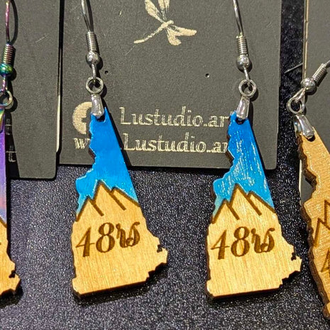 Earrings - NH 48rs