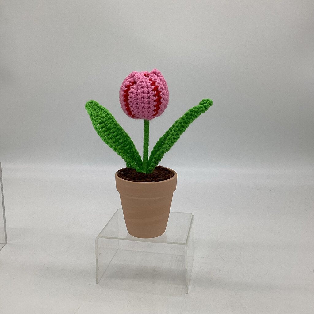 Potted Tulip - Pink