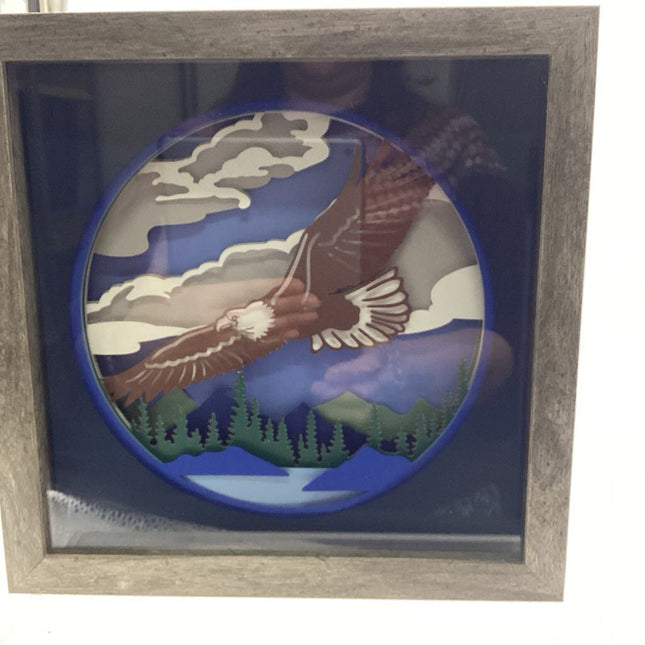 Eagle Shadowbox