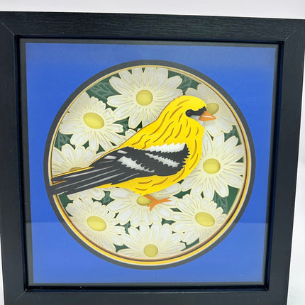 Finch Shadowbox