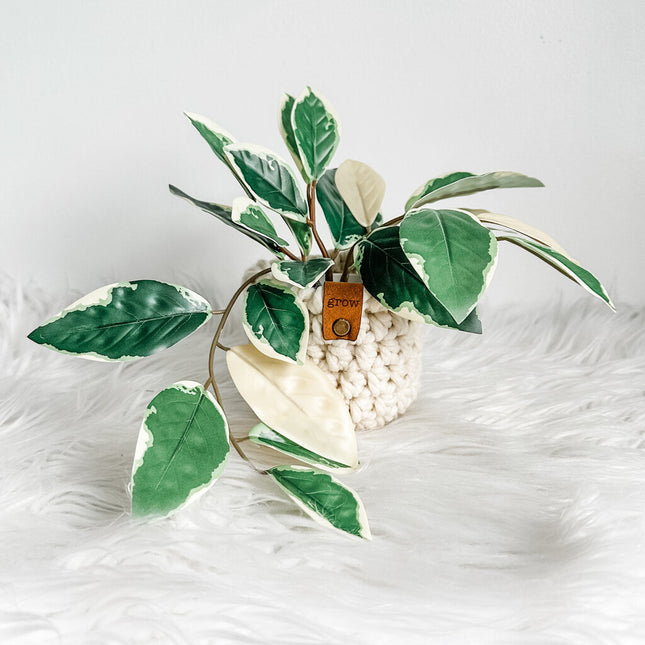 Faux Houseplant Style A Grow