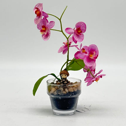 Orchid Flower Pot