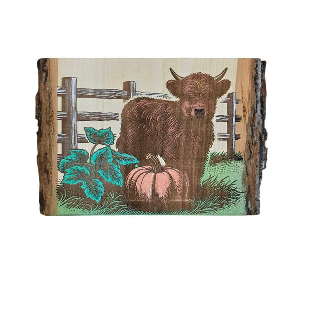 Cow @ Fence with Pumkin