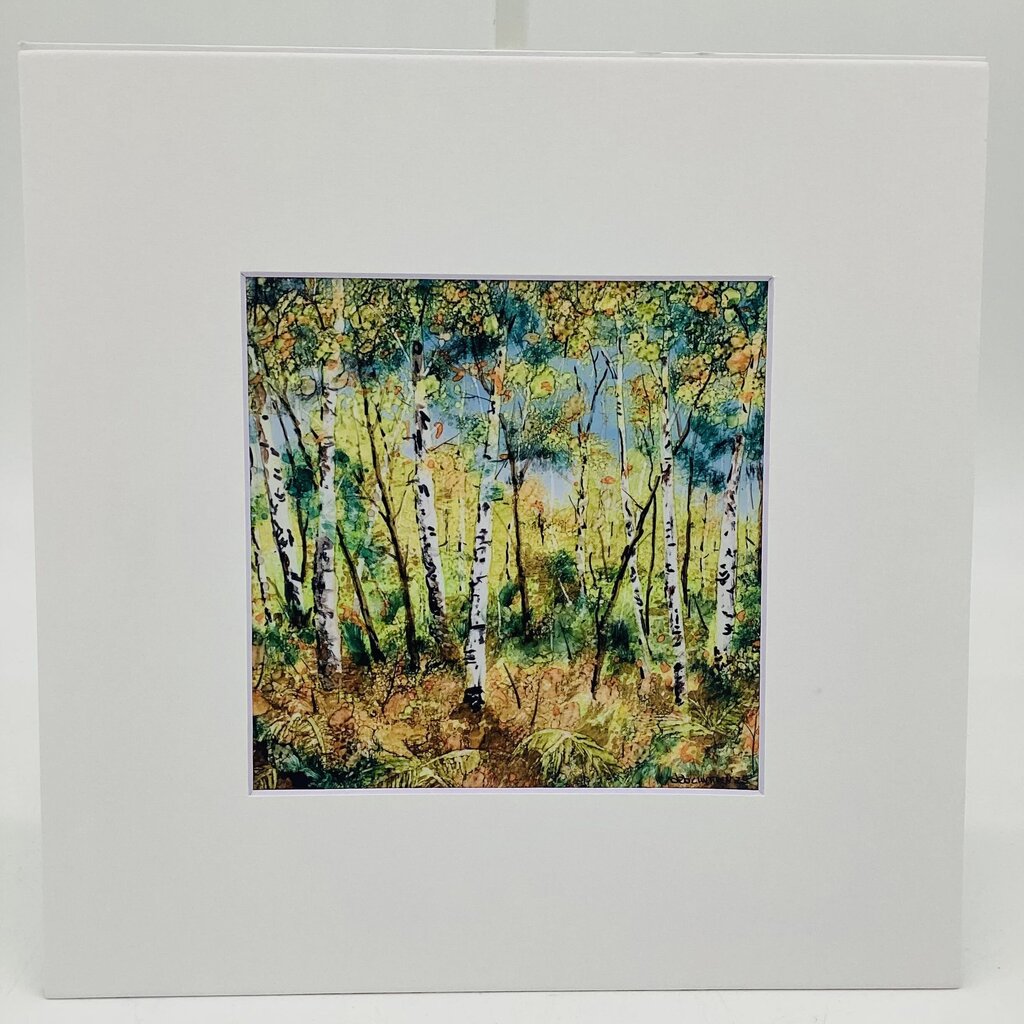 PRINTS- 10x10 Birches in the Fall