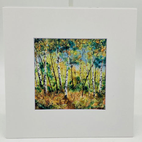 PRINTS- 10x10 Birches in the Fall