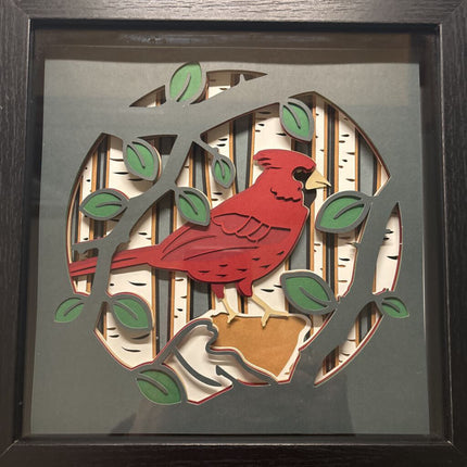 Cardinal 2 Shadowbox