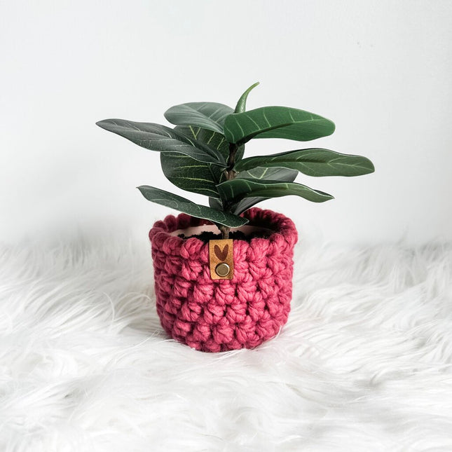 Valentine's Faux Plant Cozy Style A