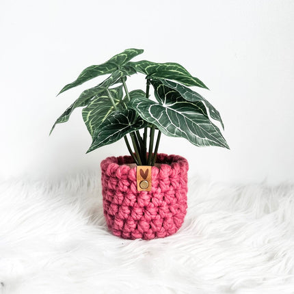 Valentine's Faux Plant Cozy Style B