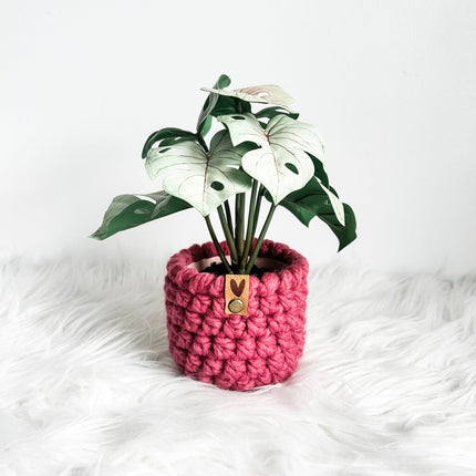 Valentine's Faux Plant Cozy Style C