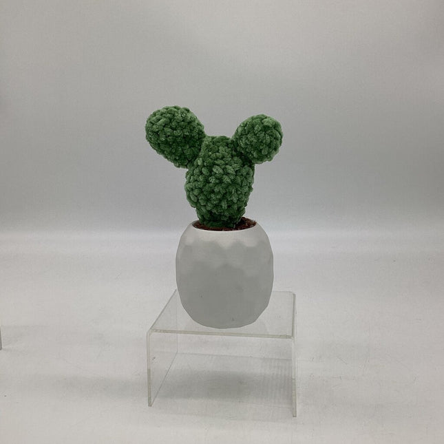 Fuzzy Paddle Cactus - White Pot