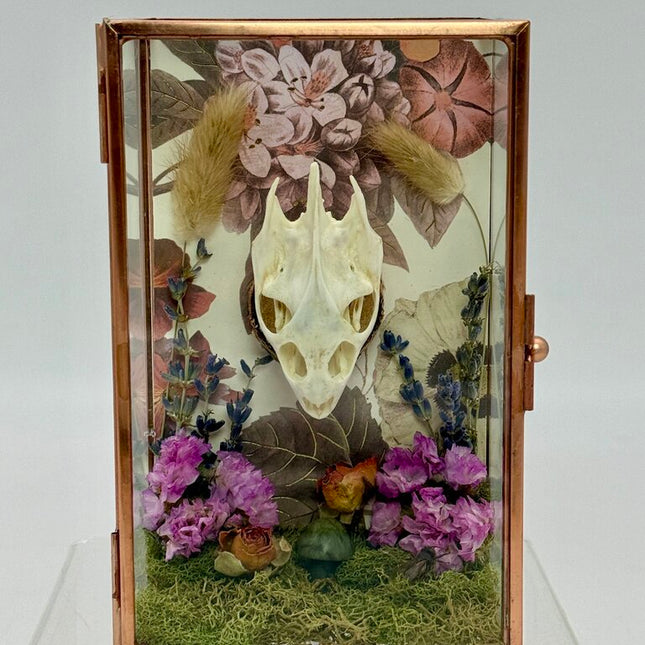 Turtle Skull Keepsake Box