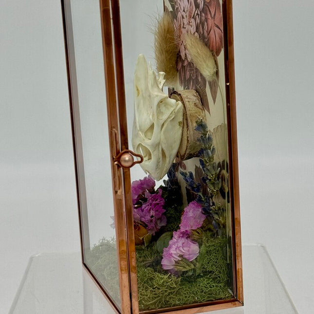 Turtle Skull Keepsake Box