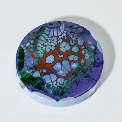 Magnetic Bamboo Bottle Opener - Lavender, green black