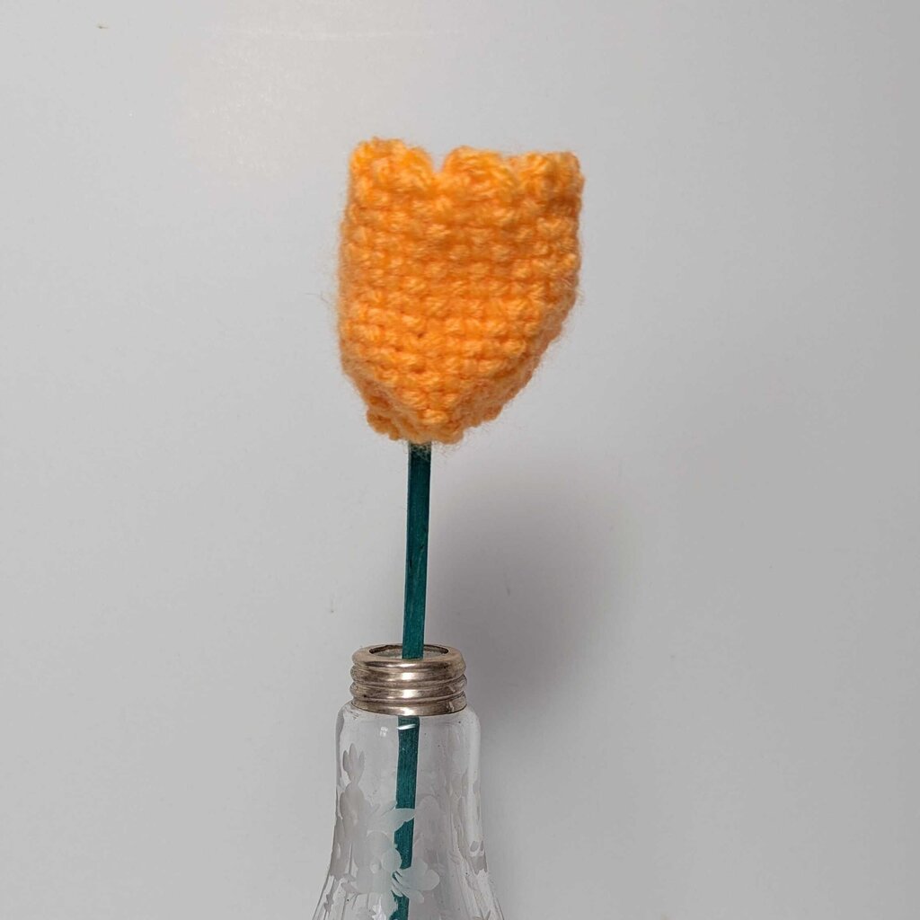 Twirlie Tulip