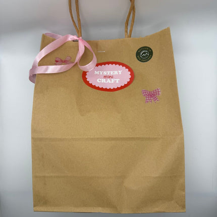 Mini Craft Mystery Bag - Bow