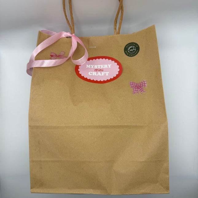 Mini Craft Mystery Bag - Bow
