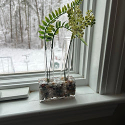 Resin-Propagation-2-Small - view 4