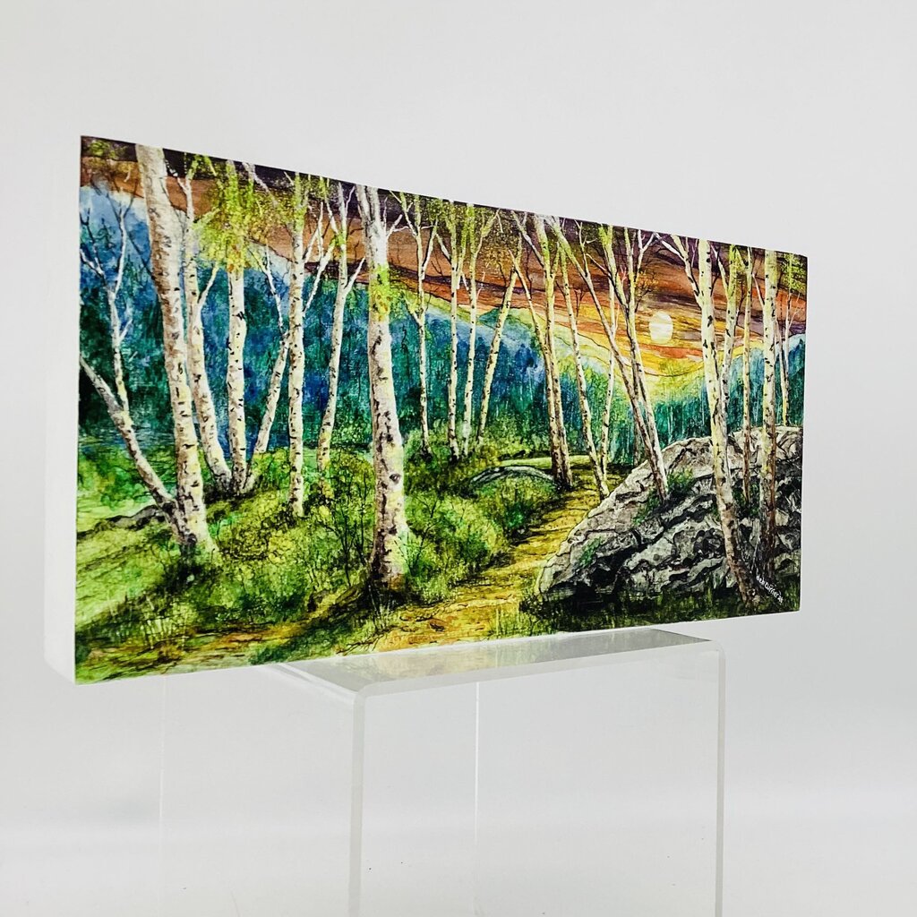 6x12 Landscape- Birches in the Moonlite
