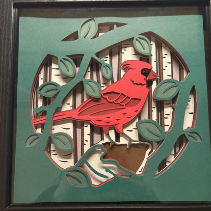 Cardinal 1 Shadowbox
