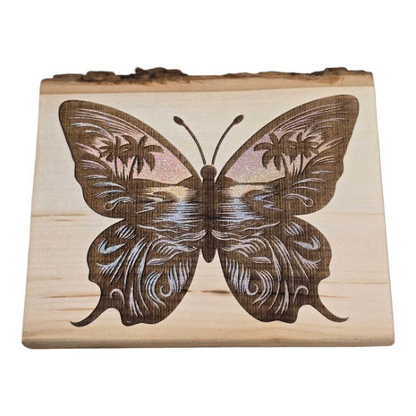 Tropical Butterfly