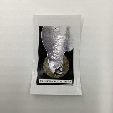 The Avian Tarot Sticker (The Hanged Man | Grey Parrot)