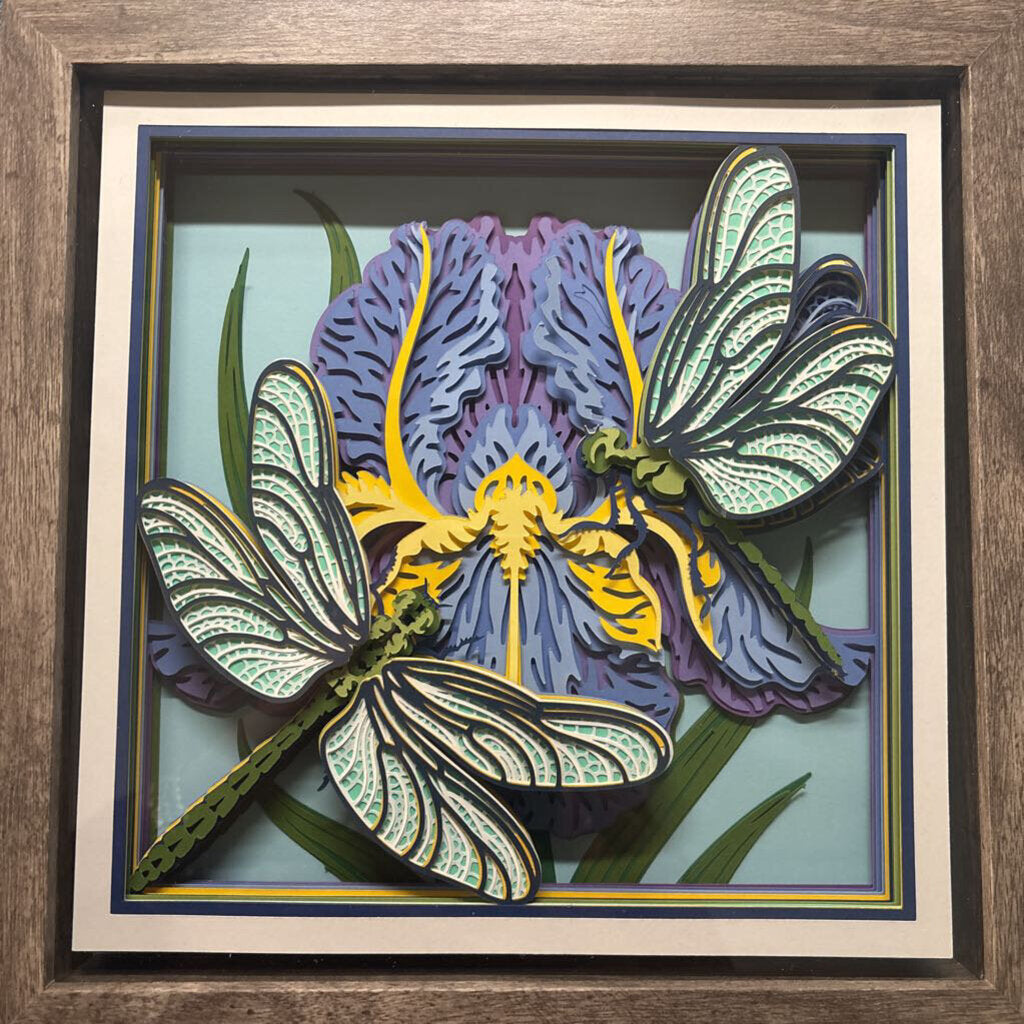 Iris Dragonfly Shadowbox