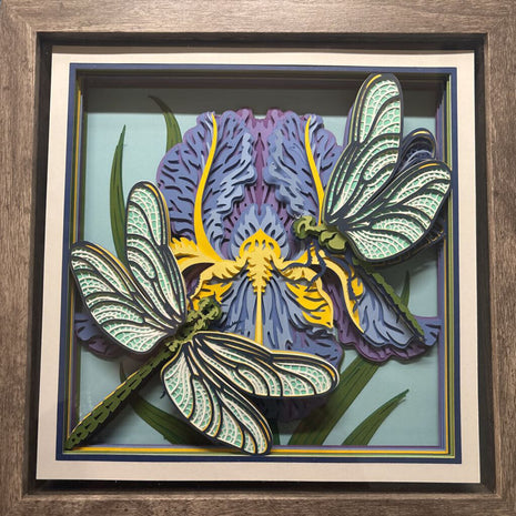 Iris Dragonfly Shadowbox