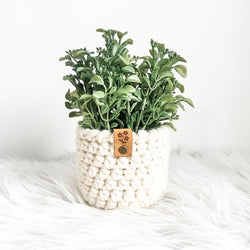 Large Faux Boxwood Plant Arrangement in Handmade Crochet Plant Cozy - view 2