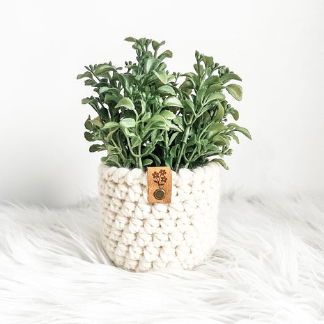 Large Faux Boxwood Plant Arrangement in Handmade Crochet Plant Cozy