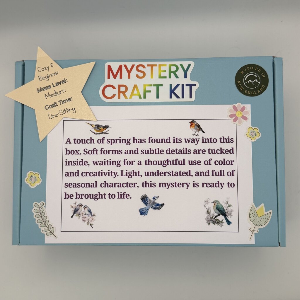 Blind Date Mystery Craft Kit 45 Spring Bird