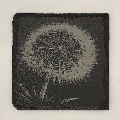Coaster - Dandelion Web