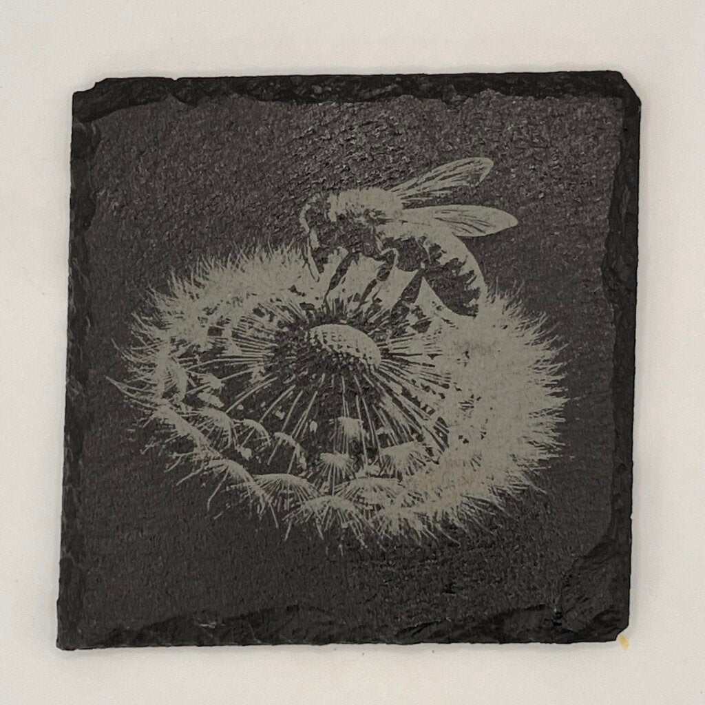 Coaster - Bee Dandelion