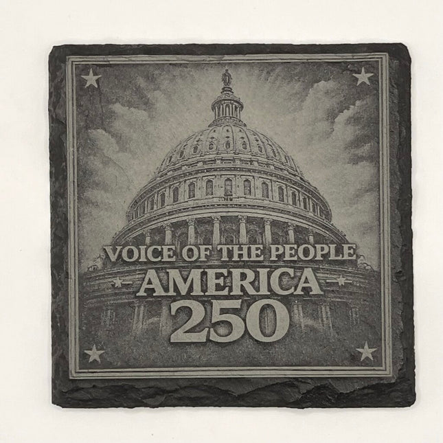 Coaster - Voice of the people