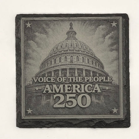 Coaster - Voice of the people