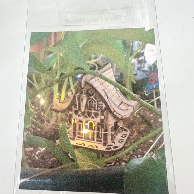 Plant Fairy House - Lanterns