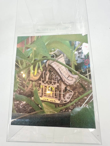 Plant Fairy House - Lanterns