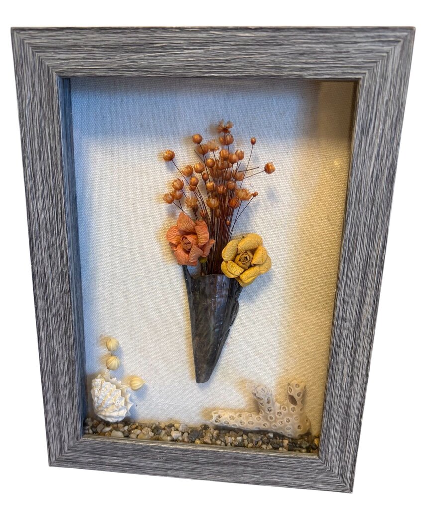 Pen shell vase in shadow box w/coral