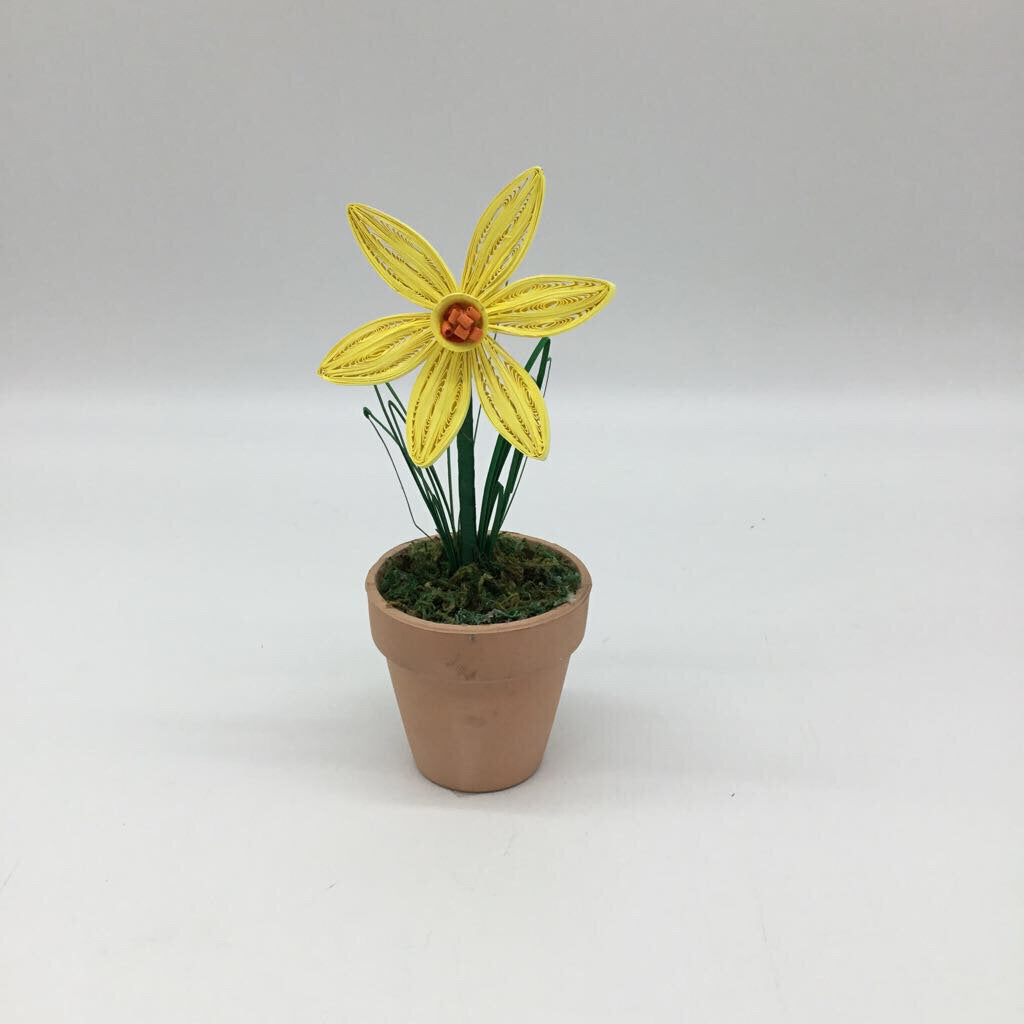 daffodil in pot