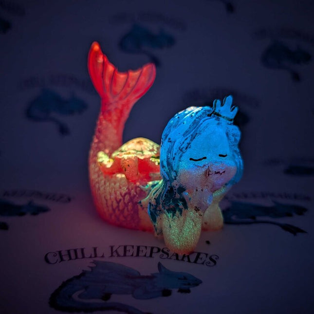 Cozy Companions