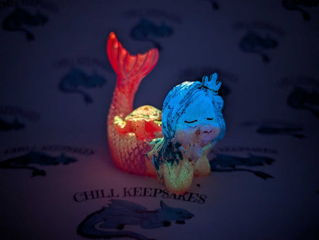 Cozy Companions