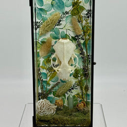 Mink Skull Box - view 1